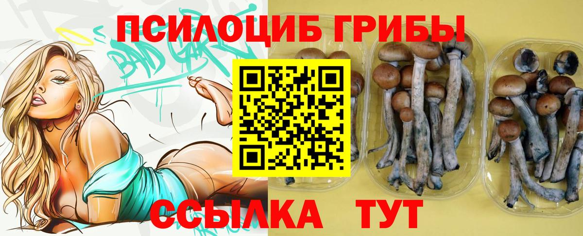 Галлюциногенные грибы мухоморы Асбест